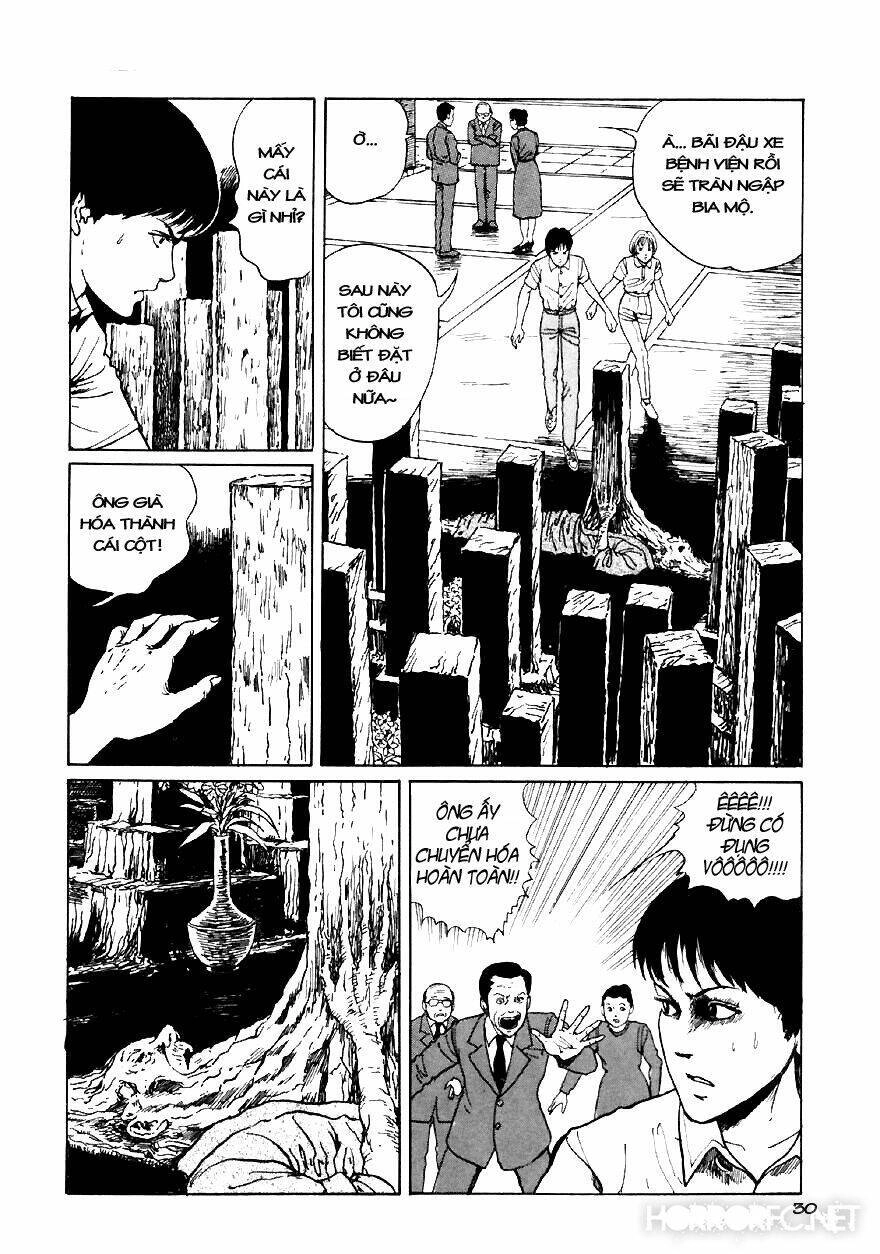 Tuyển Tập Truyện Ngắn Kinh Dị Của Ito Junji Chapter 13.2 - 31