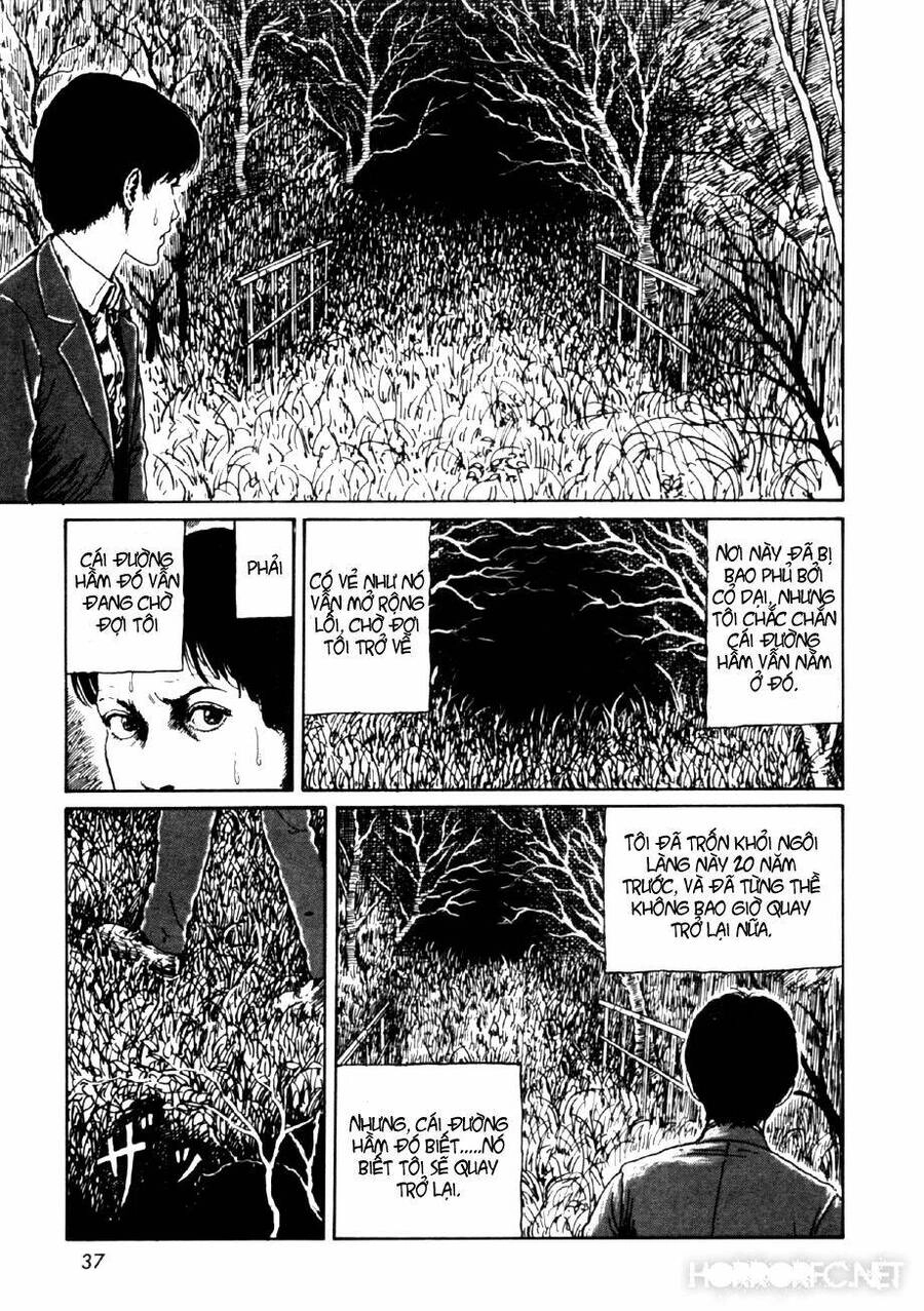 Tuyển Tập Truyện Ngắn Kinh Dị Của Ito Junji Chapter 14.2 - 3