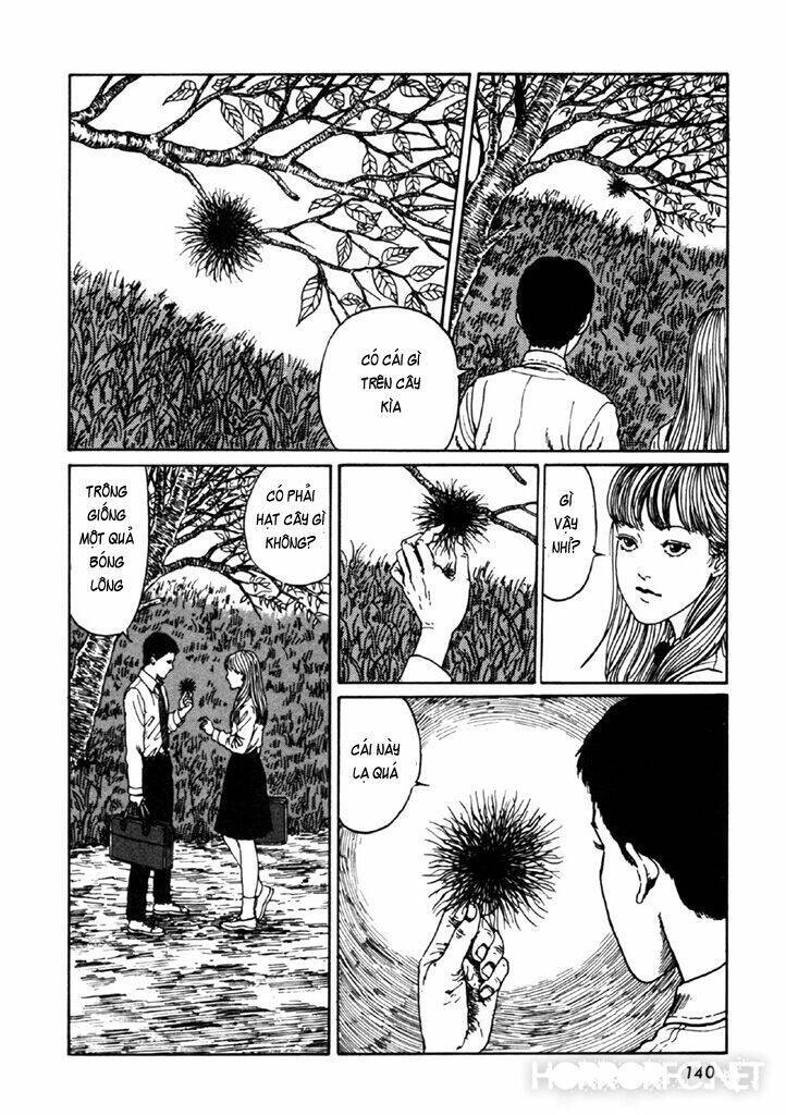 Tuyển Tập Truyện Ngắn Kinh Dị Của Ito Junji Chapter 14.4 - 6