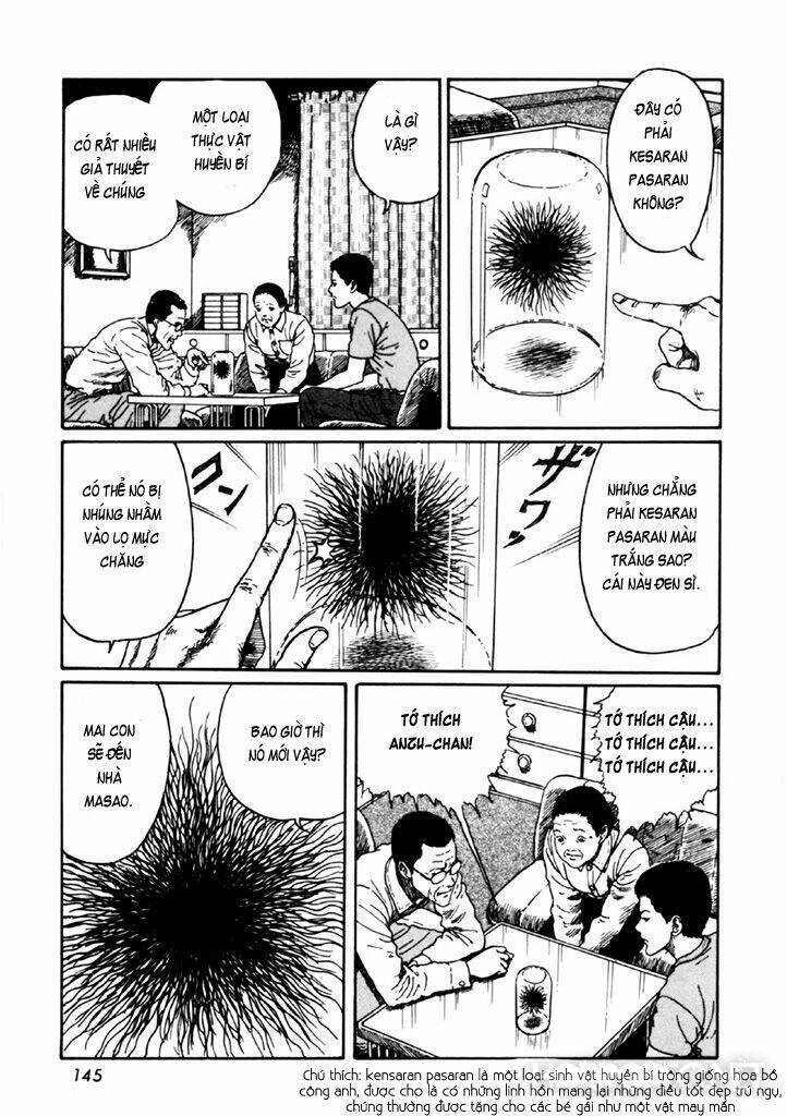 Tuyển Tập Truyện Ngắn Kinh Dị Của Ito Junji Chapter 14.4 - 11