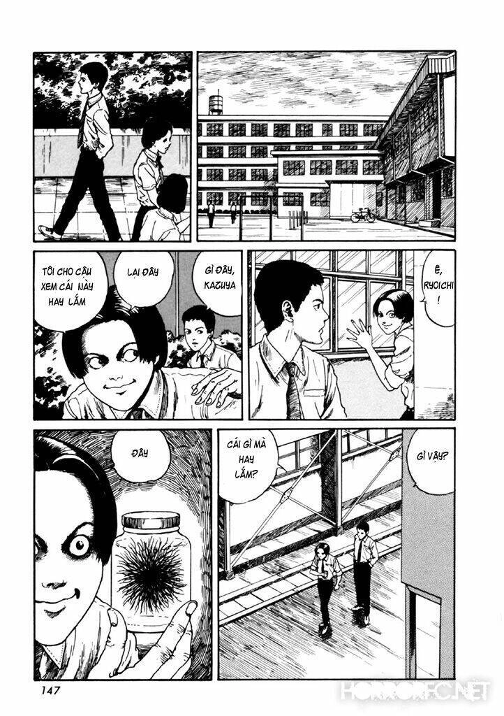 Tuyển Tập Truyện Ngắn Kinh Dị Của Ito Junji Chapter 14.4 - 13