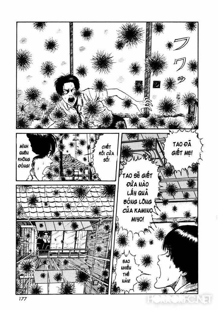Tuyển Tập Truyện Ngắn Kinh Dị Của Ito Junji Chapter 14.4 - 42