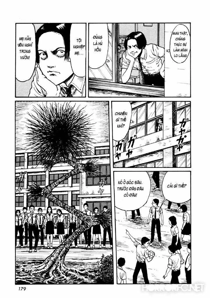 Tuyển Tập Truyện Ngắn Kinh Dị Của Ito Junji Chapter 14.4 - 44