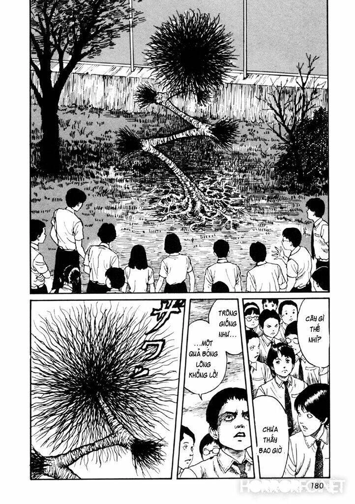 Tuyển Tập Truyện Ngắn Kinh Dị Của Ito Junji Chapter 14.4 - 45