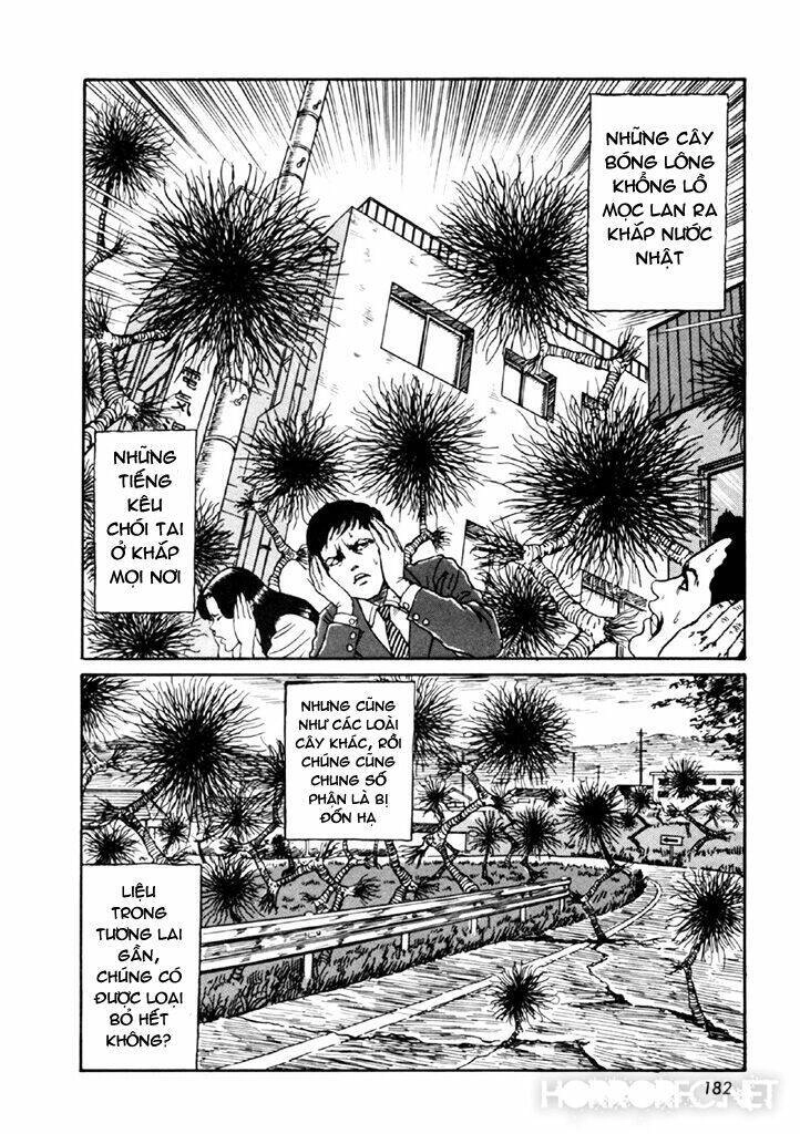 Tuyển Tập Truyện Ngắn Kinh Dị Của Ito Junji Chapter 14.4 - 47