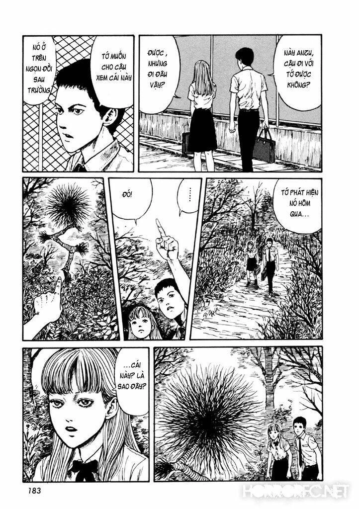 Tuyển Tập Truyện Ngắn Kinh Dị Của Ito Junji Chapter 14.4 - 48