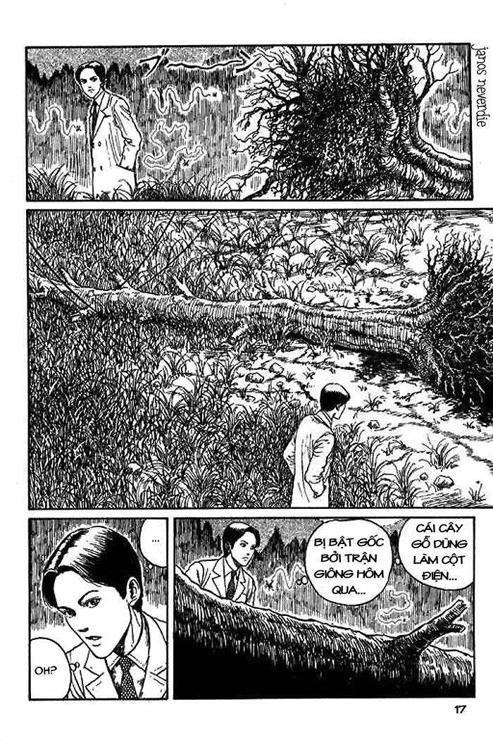 Tuyển Tập Truyện Ngắn Kinh Dị Của Ito Junji Chapter 14.5 - 18
