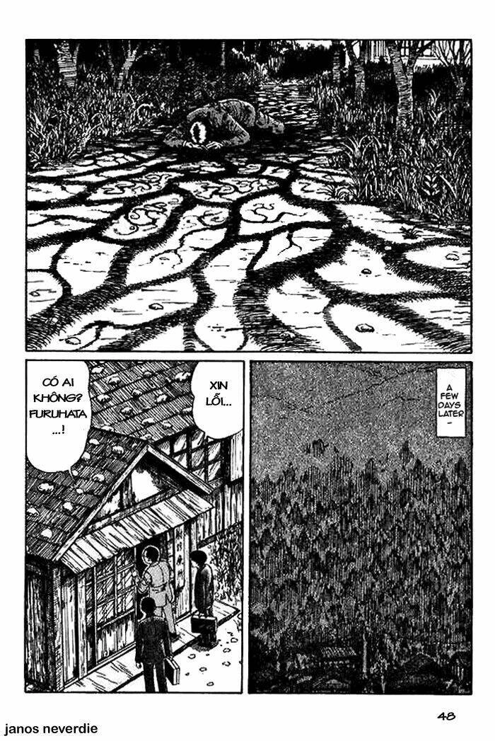 Tuyển Tập Truyện Ngắn Kinh Dị Của Ito Junji Chapter 14.5 - 49