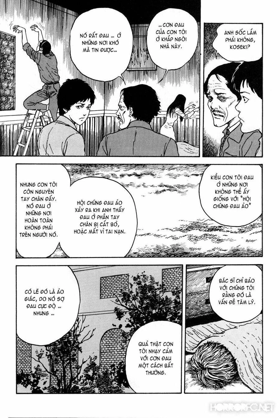 Tuyển Tập Truyện Ngắn Kinh Dị Của Ito Junji Chapter 15.6 - 9