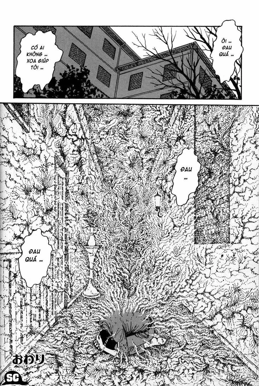 Tuyển Tập Truyện Ngắn Kinh Dị Của Ito Junji Chapter 15.6 - 33