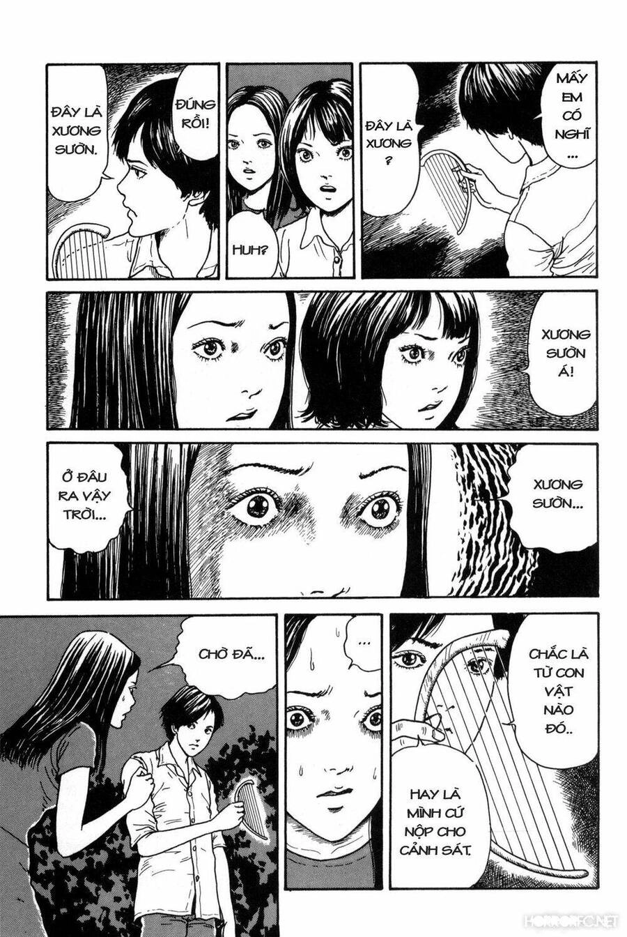 Tuyển Tập Truyện Ngắn Kinh Dị Của Ito Junji Chapter 15.7 - 15