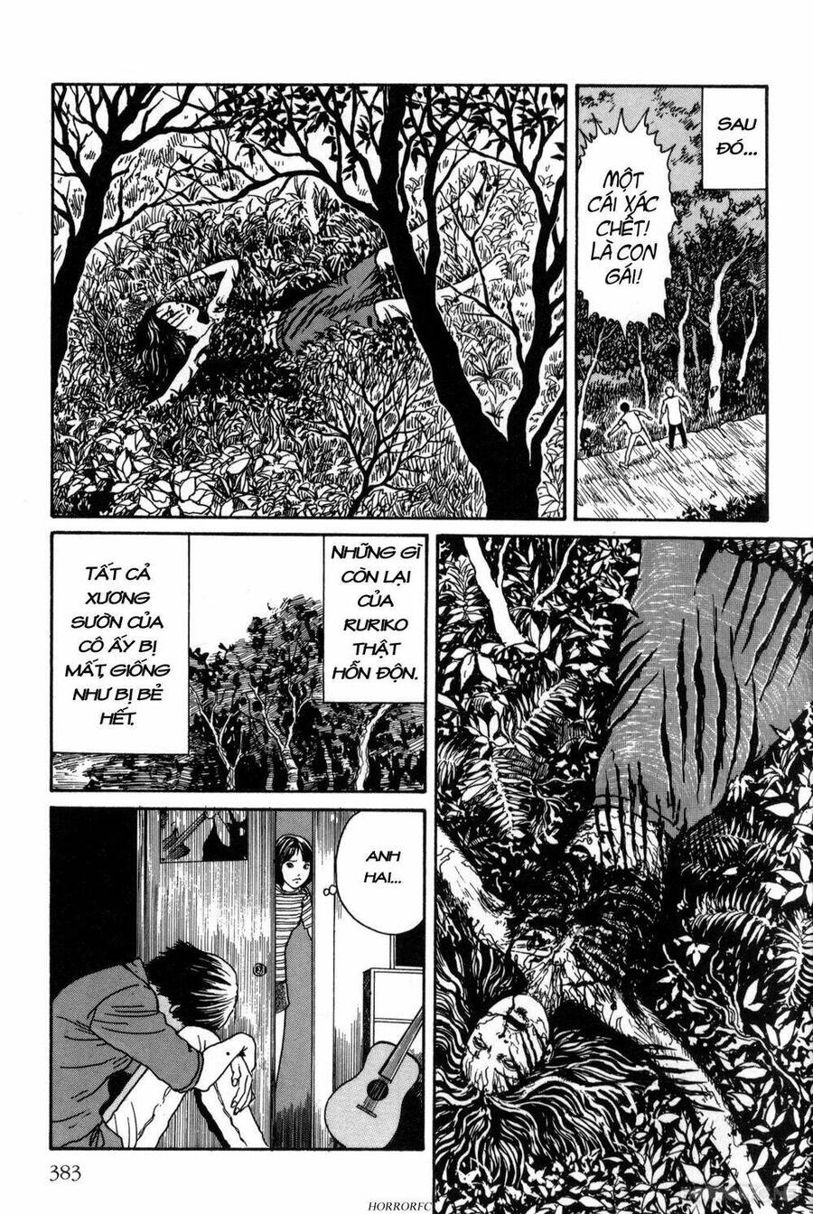 Tuyển Tập Truyện Ngắn Kinh Dị Của Ito Junji Chapter 15.7 - 17