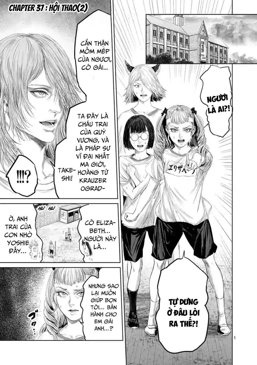 Thú Cưng Của Em Gái Tôi Là Ma Kiếm Chapter 37 - 3