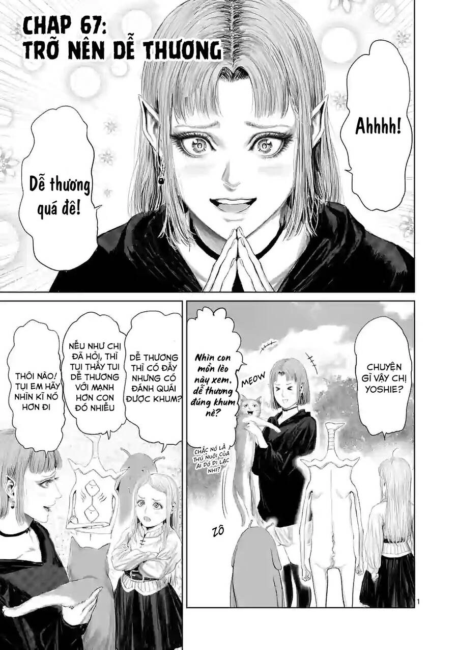 Thú Cưng Của Em Gái Tôi Là Ma Kiếm Chapter 67 - 3