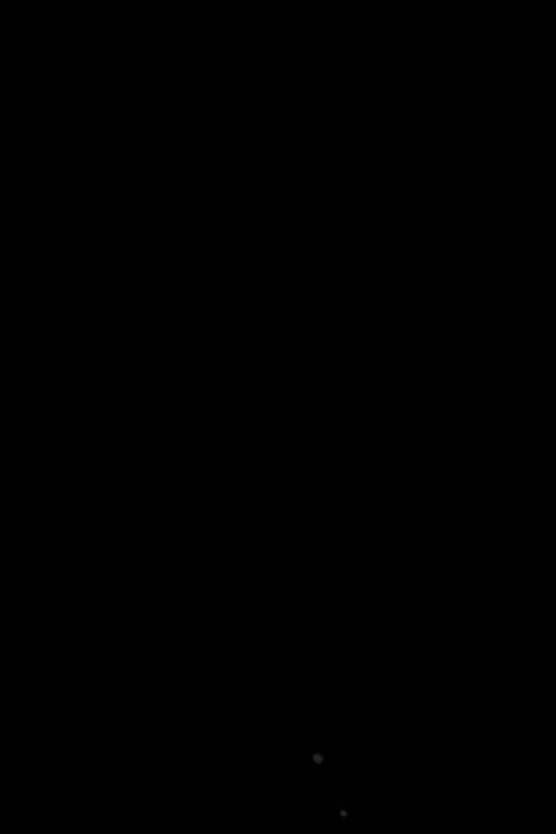 Sát Thủ Thiên Tài Đơn Độc Chapter 1.5 - 51