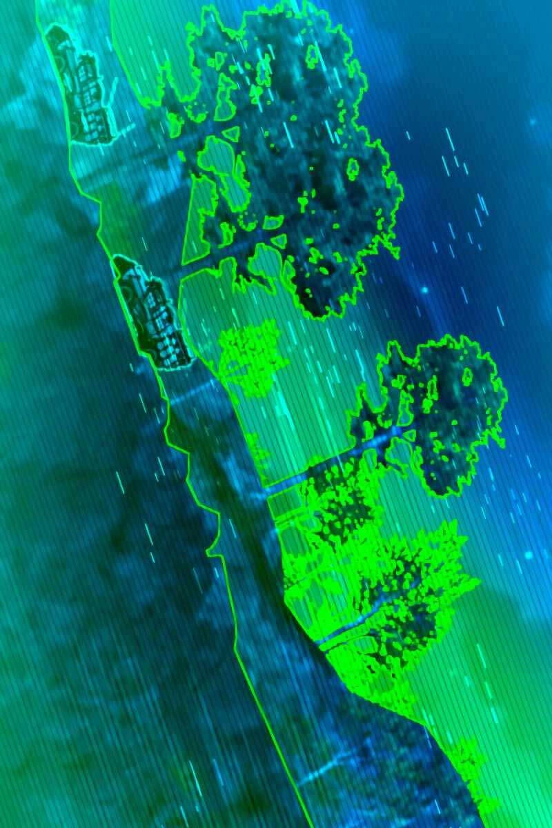 Sát Thủ Thiên Tài Đơn Độc Chapter 4 - 51