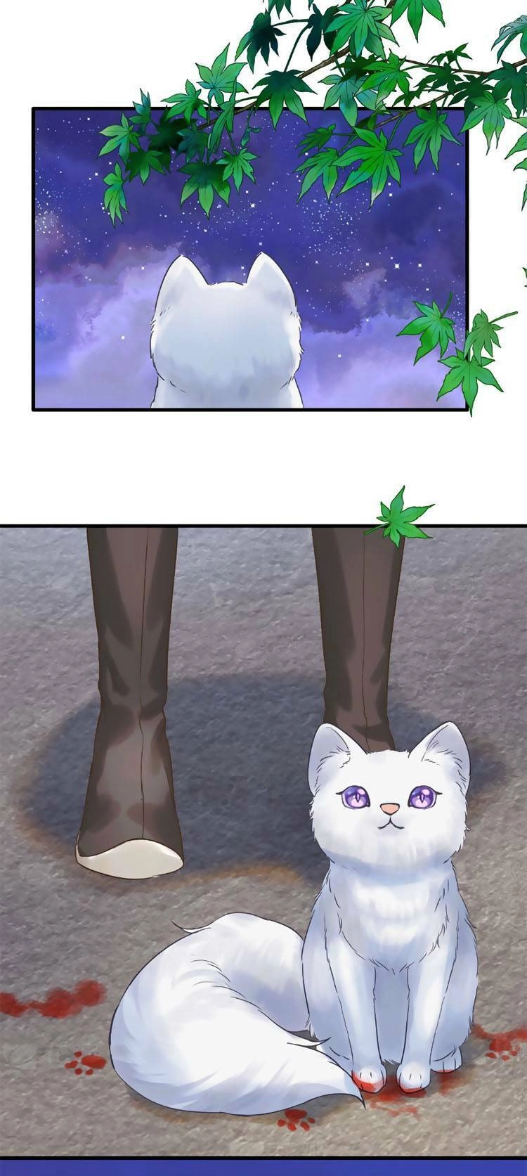 Triều Ca Vị Dĩ Chapter 1 - 17