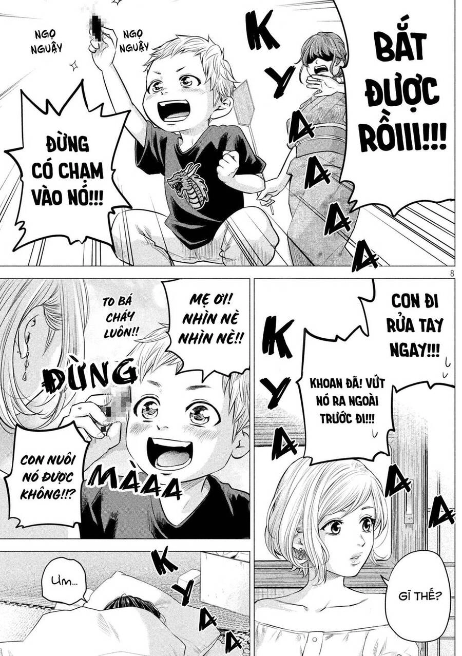 Hare Kon. Okawari! Chapter 1 - 8