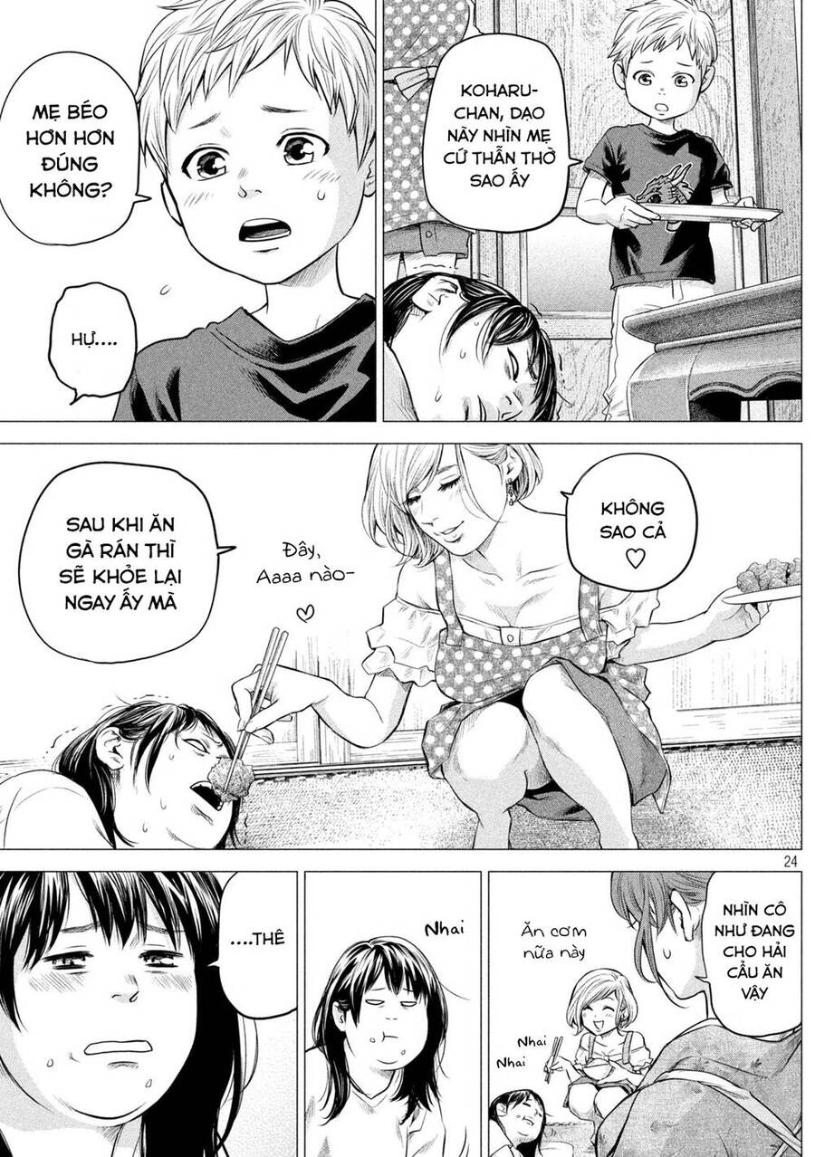 Hare Kon. Okawari! Chapter 1 - 23