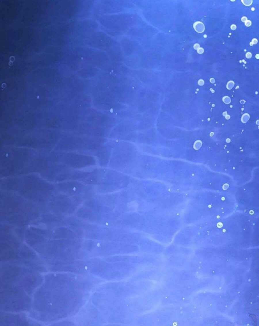 Đại Dịch Seoul Chapter 122 - 69