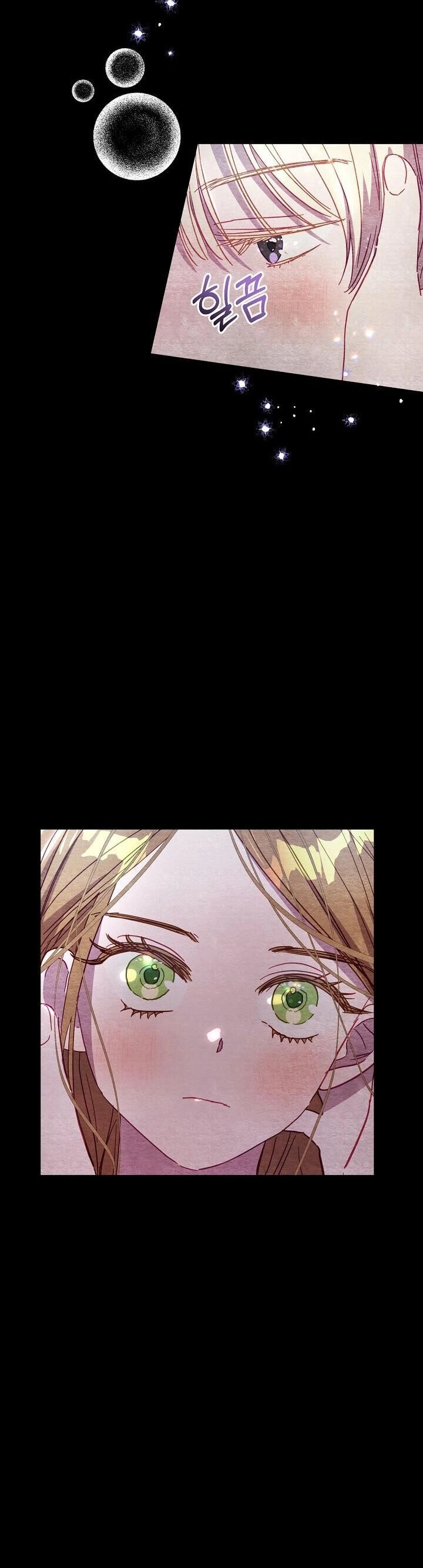 Cuộc Ly Hôn Với Chồng Tôi Đã Thất Bại Chapter 37 - 13