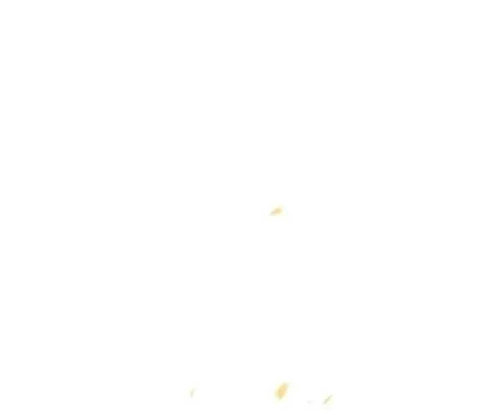 Đại Pháp Sư Mở Nhà Hàng Chapter 142 - 28