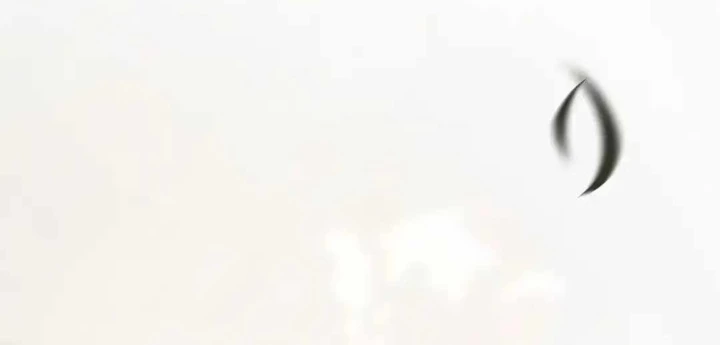 Đại Pháp Sư Mở Nhà Hàng Chapter 102 - 42