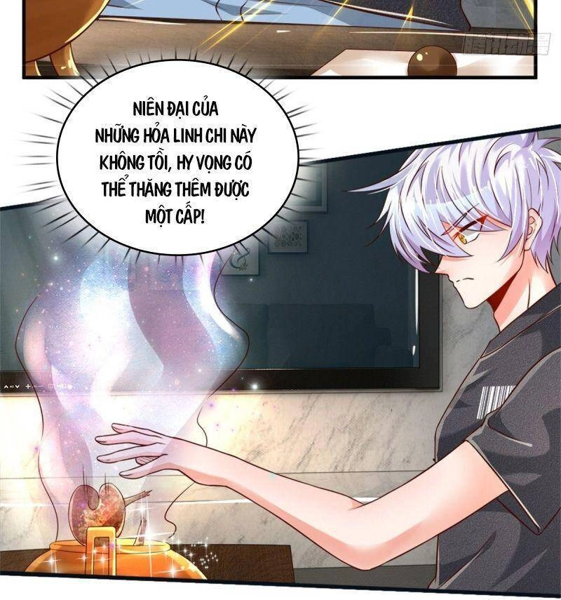 Luyện Thể Trăm Nghìn Tầng Chapter 31 - 10