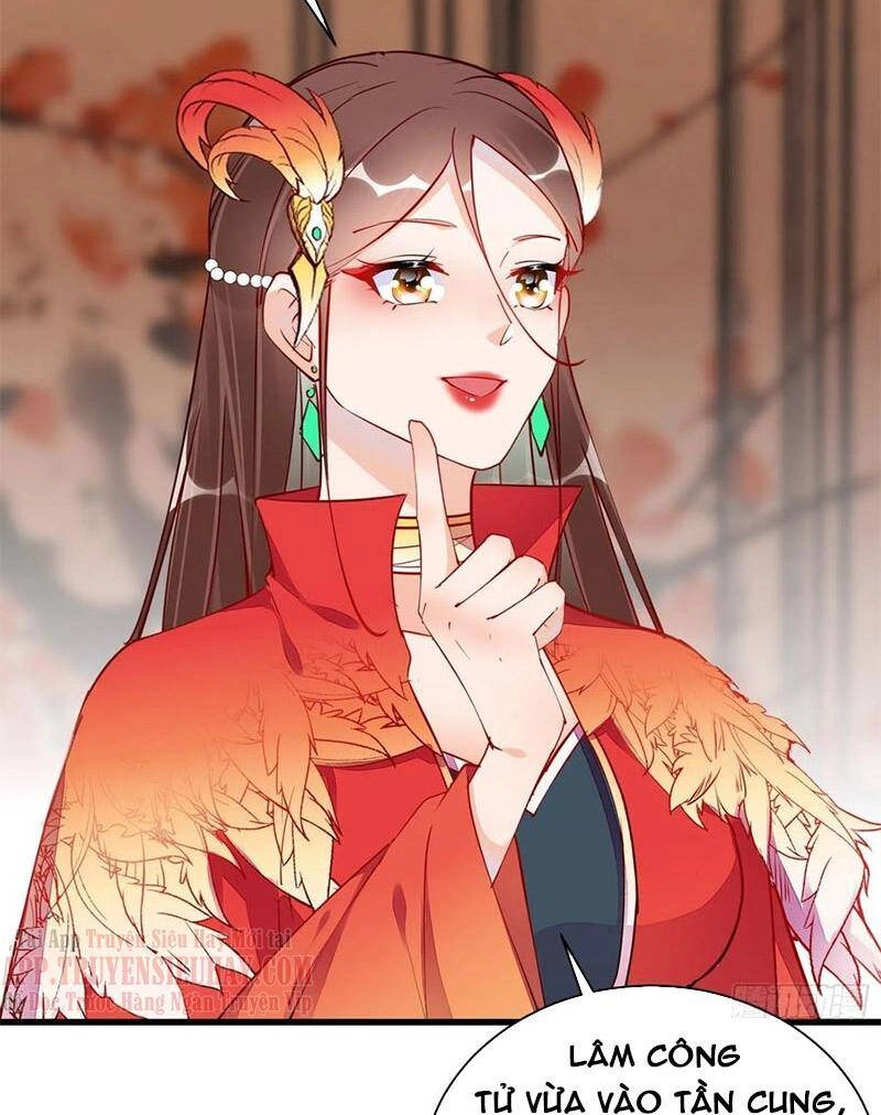 Tu Tiên Phải Dựa Vào Sugar Mommy Chapter 156 - 13