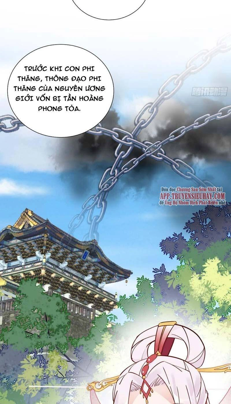 Tu Tiên Phải Dựa Vào Sugar Mommy Chapter 167 - 7