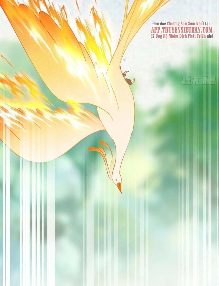 Tu Tiên Phải Dựa Vào Sugar Mommy Chapter 173 - 20