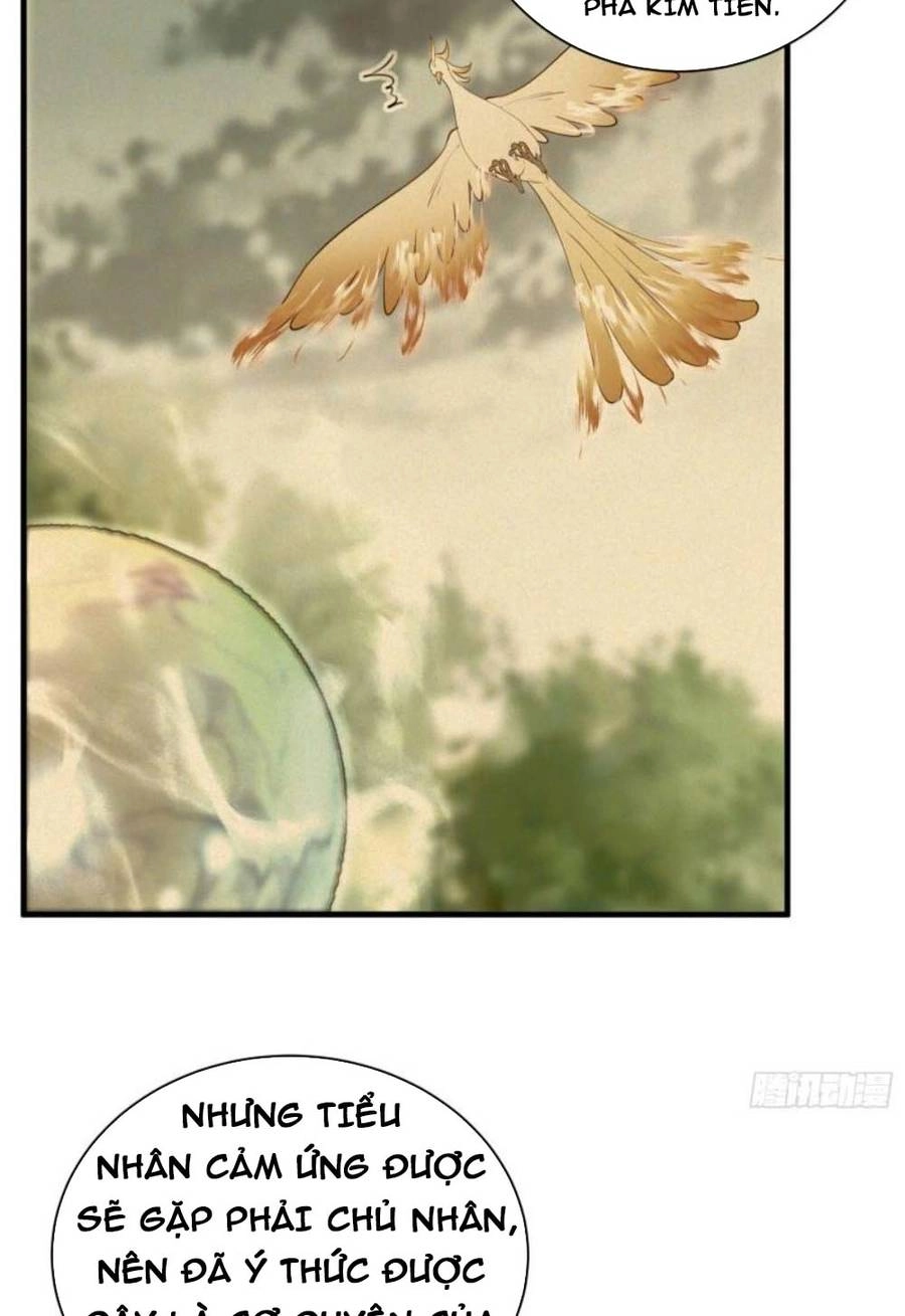 Tu Tiên Phải Dựa Vào Sugar Mommy Chapter 174 - 30