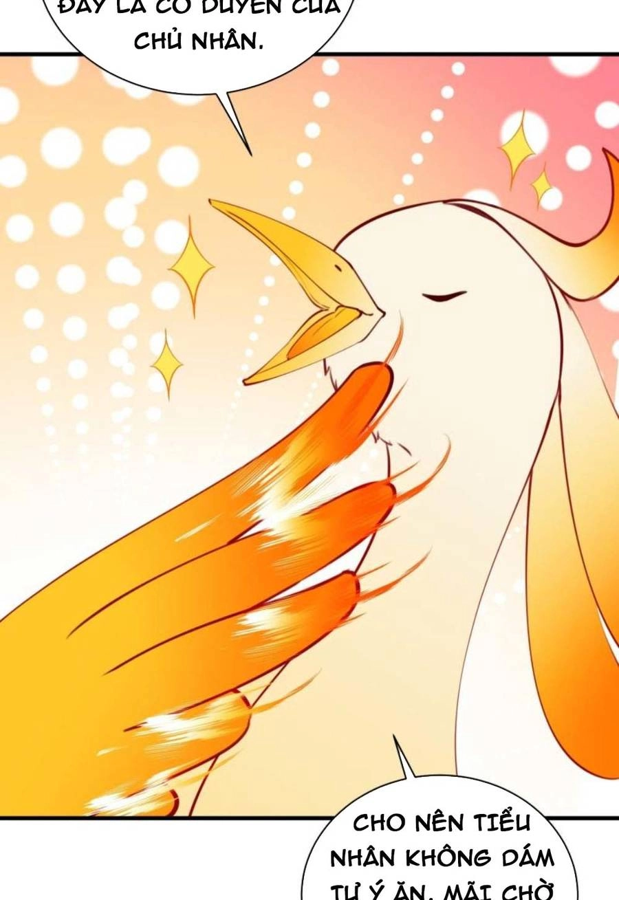 Tu Tiên Phải Dựa Vào Sugar Mommy Chapter 174 - 31