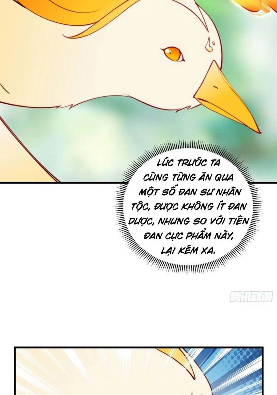 Tu Tiên Phải Dựa Vào Sugar Mommy Chapter 175 - 35