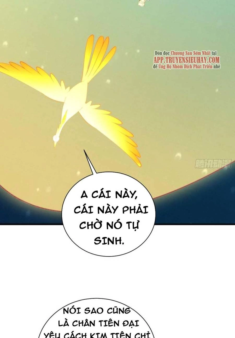 Tu Tiên Phải Dựa Vào Sugar Mommy Chapter 178 - 21