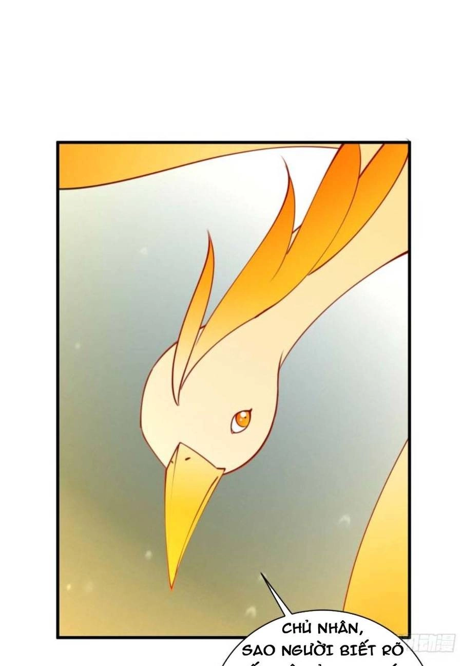 Tu Tiên Phải Dựa Vào Sugar Mommy Chapter 178 - 23