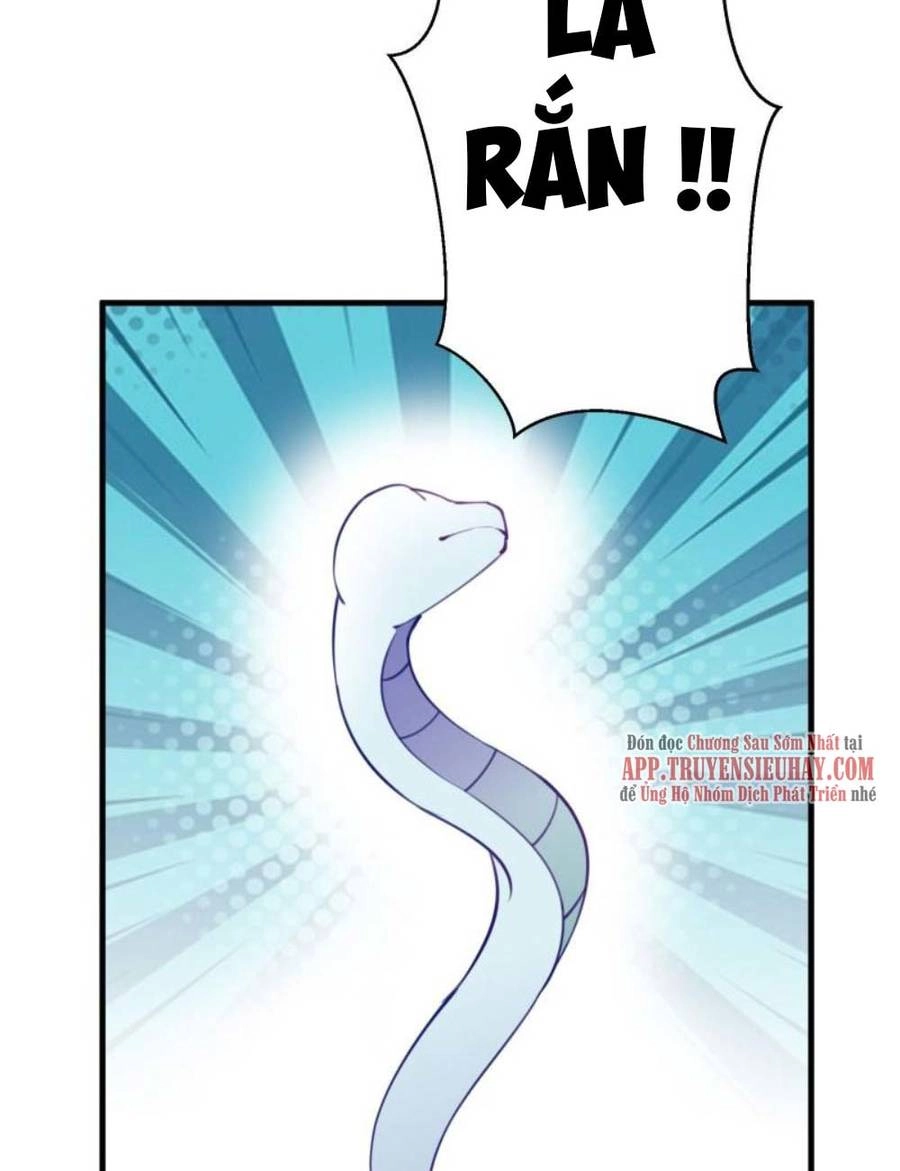 Tu Tiên Phải Dựa Vào Sugar Mommy Chapter 179 - 15