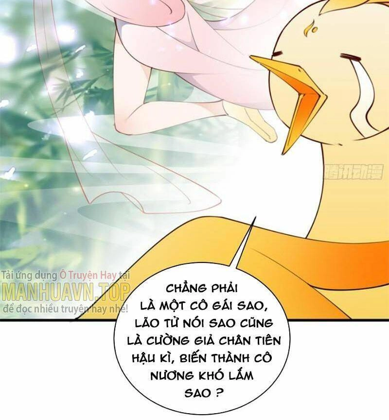 Tu Tiên Phải Dựa Vào Sugar Mommy Chapter 183 - 14