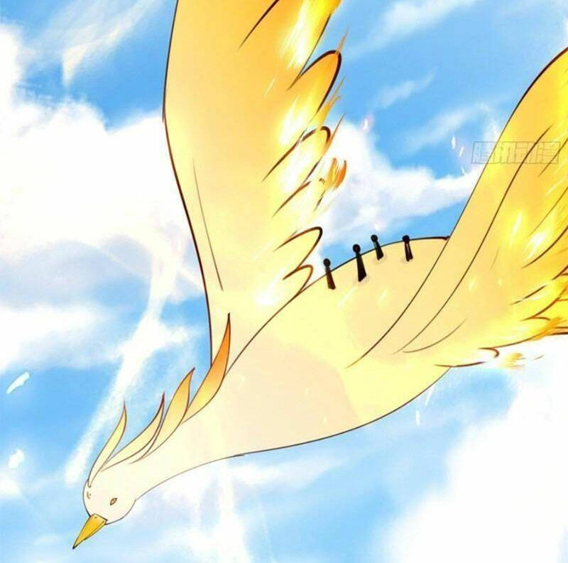 Tu Tiên Phải Dựa Vào Sugar Mommy Chapter 184 - 38