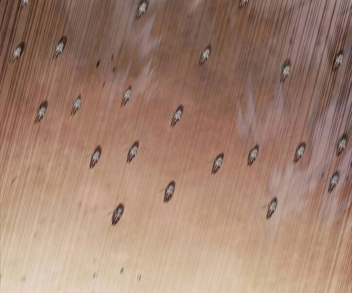 Hồi Quy Thành Công Tước Chapter 19 - 123