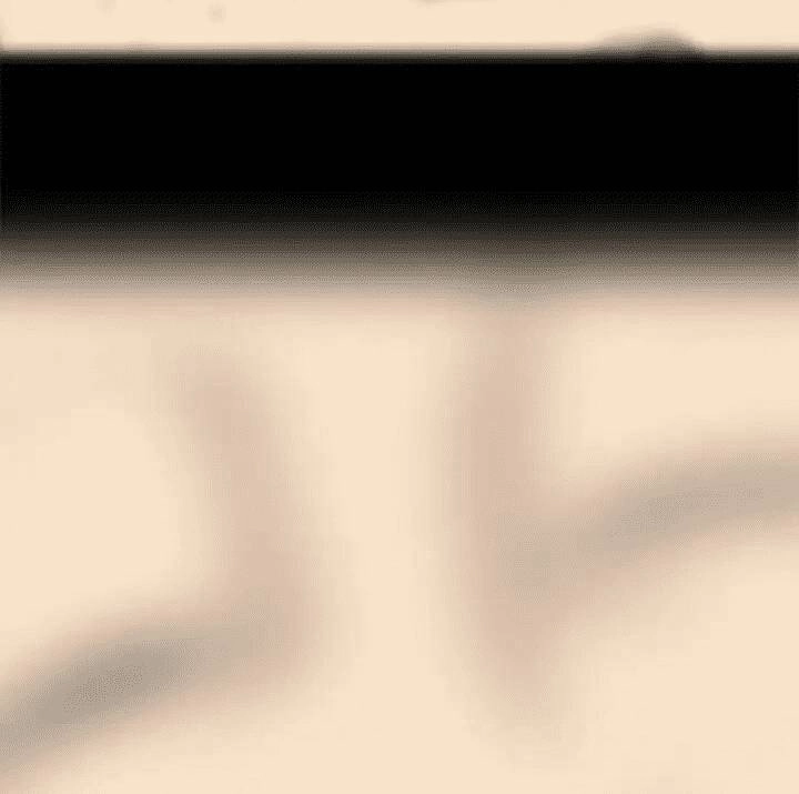 Những Câu Chuyện Kinh Dị Độc Đáo Chapter 14 - 42