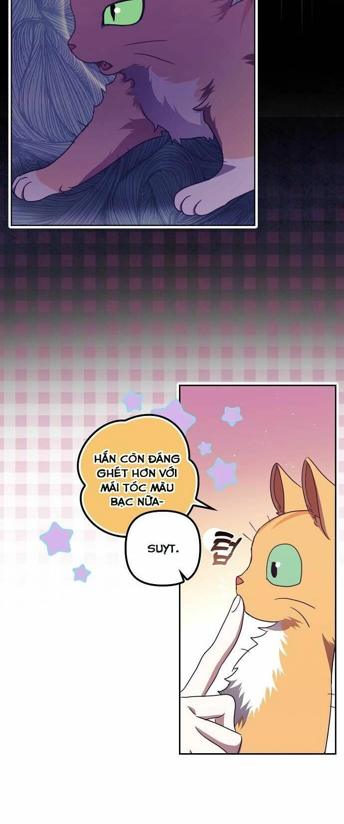 Cuộc Sống Độc Thân Giản Dị Của Quý Cô Bị Bỏ Rơi Chapter 13 - 3