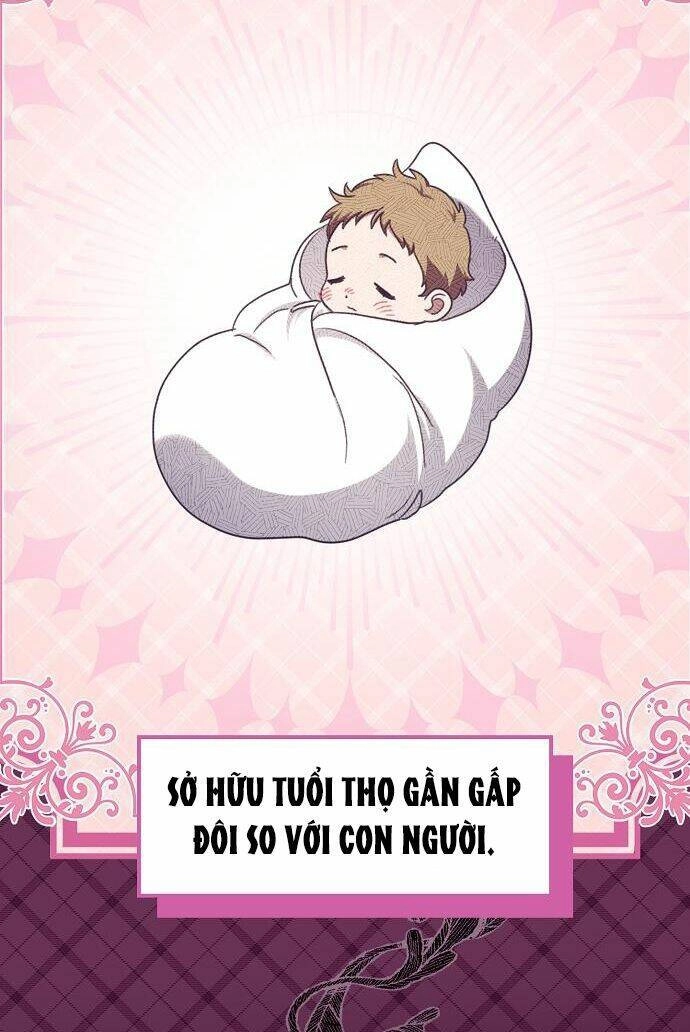 Cuộc Sống Độc Thân Giản Dị Của Quý Cô Bị Bỏ Rơi Chapter 20 - 67