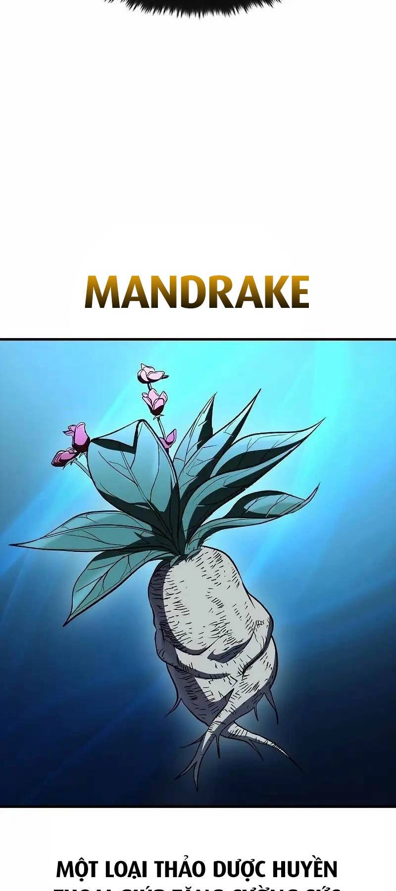 Chiến Binh Thôn Phệ Xác Chết Chapter 29 - 66