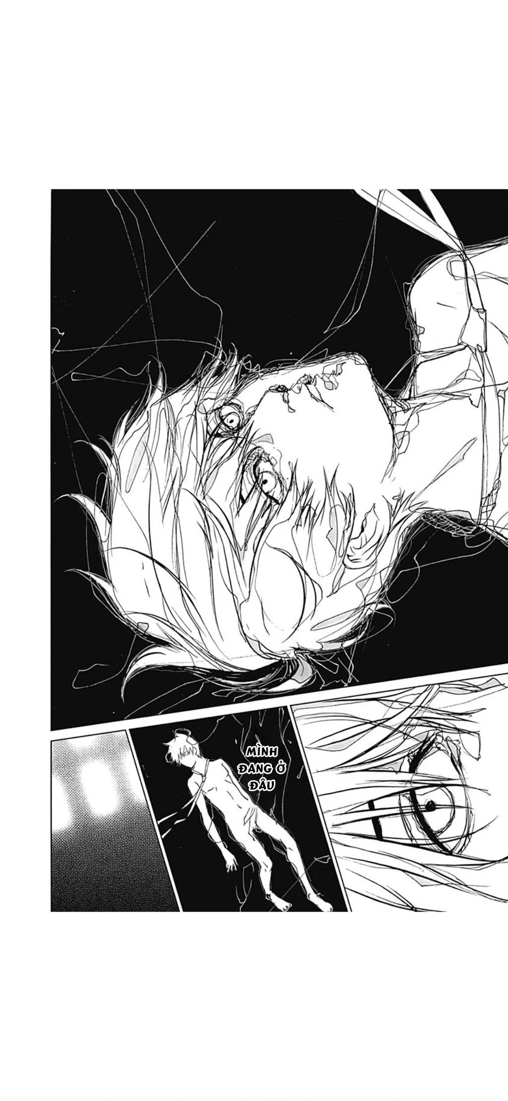 BiORG TRiNiTY Chapter 36 - 46