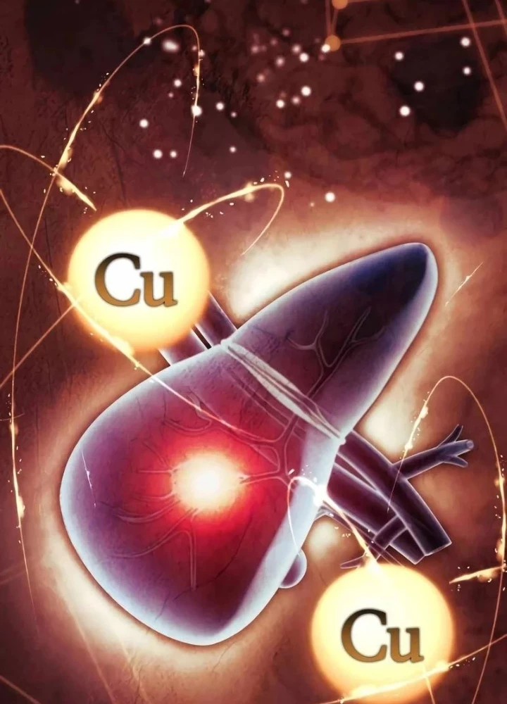 Hoàng Tử Bán Thuốc Chapter 87 - 5