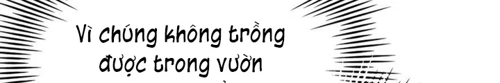 Hoàng Tử Bán Thuốc Chapter 88 - 194