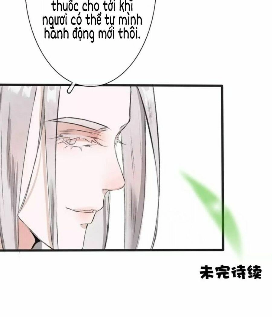 Hạnh Lâm Phương Hoa Chapter 4 - 41