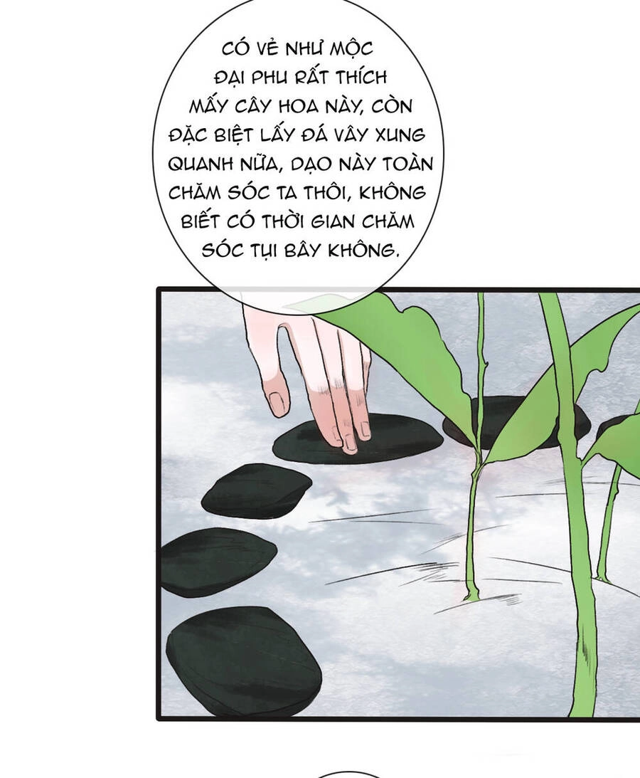 Hạnh Lâm Phương Hoa Chapter 11 - 16