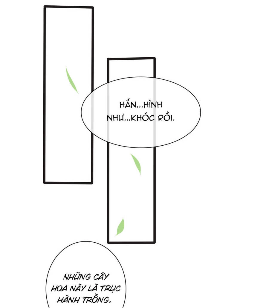 Hạnh Lâm Phương Hoa Chapter 11 - 40